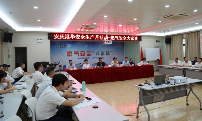 安慶港華扶貧組送黨課進結(jié)對村